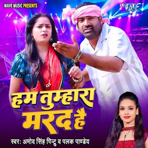 Hum Tumhara Mard Hai cover art