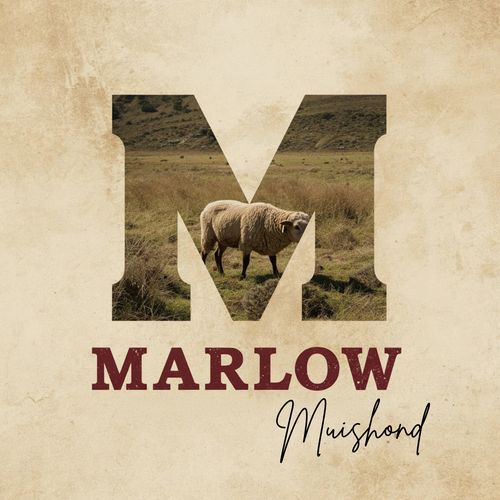 Marlow cover art