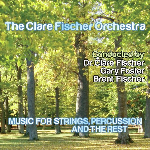 Music for Strings, Percussion and the Rest_poster_image