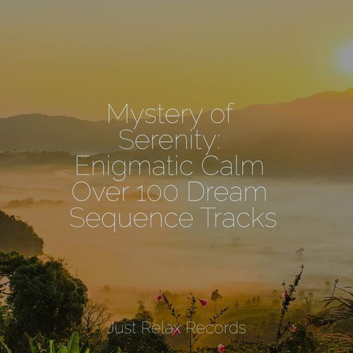 Mystery of Serenity: Enigmatic Calm Over 100 Dream Sequence Tracks