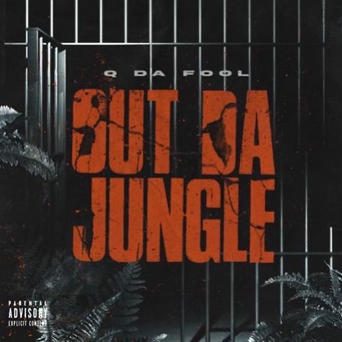 Out Da Jungle cover art