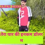 तेरा यार की इनकम डॉलर म