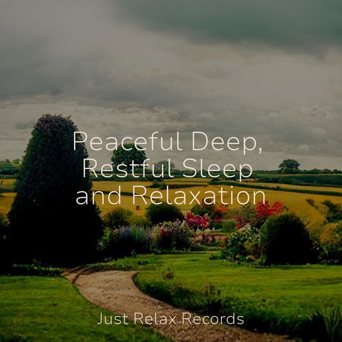 Peaceful Deep, Restful Sleep and Relaxation