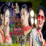 Pichha Kare Bulletwa Se