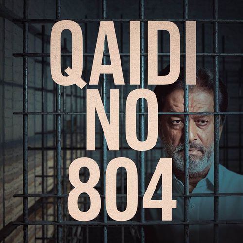 Qaidi No 804 LoFi