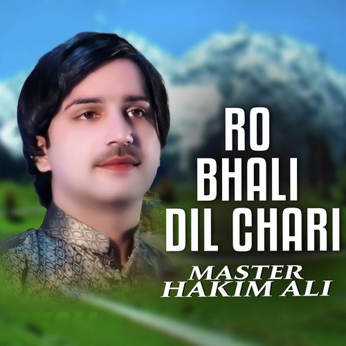 Ro Bhali Dil Chari