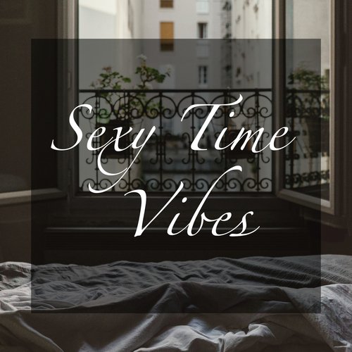 Sexy Time Vibes_poster_image