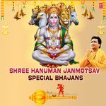 Shree Hanuman Chalisa (From "Shree Hanuman Chalisa (Hanuman Ashtak)")