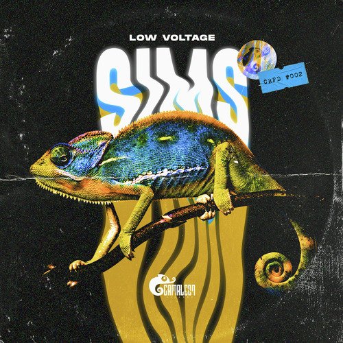 Sims cover art