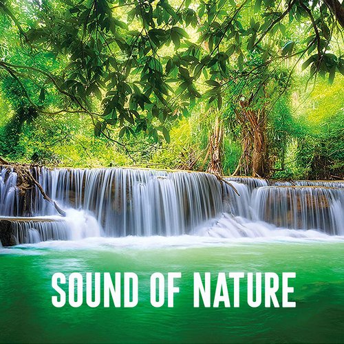 Sound of Nature_poster_image