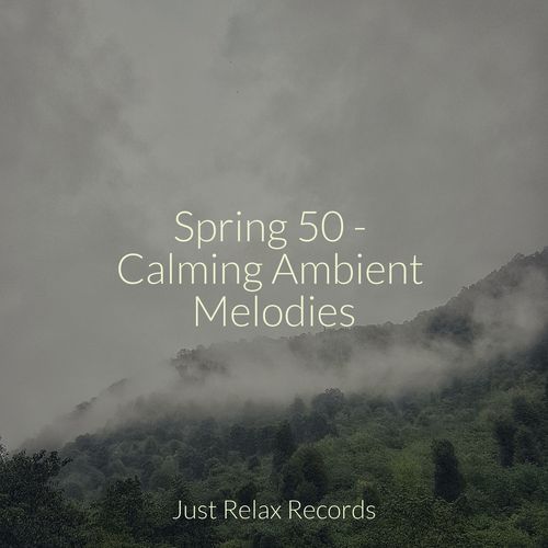 Spring 50 - Calming Ambient Melodies_poster_image