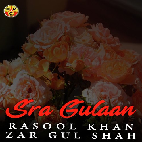 Zar Gul Shah