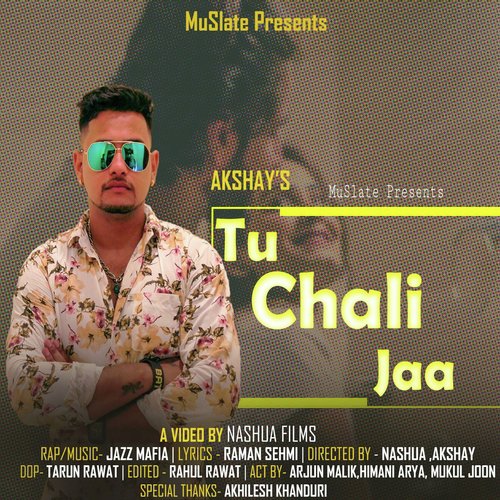 Tu Chali Jaa_poster_image