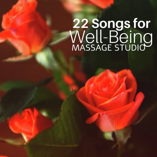 22 Songs for Well-Being Massage Studio_poster_image