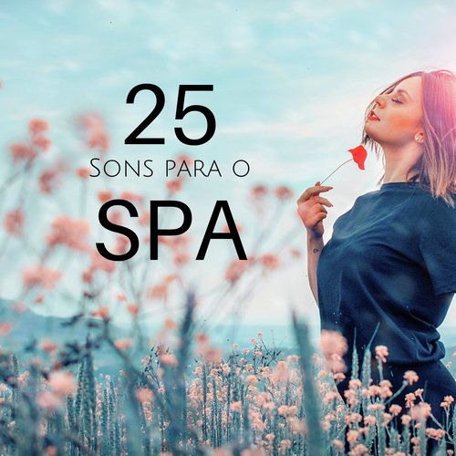 Dormir e Meditar cover art