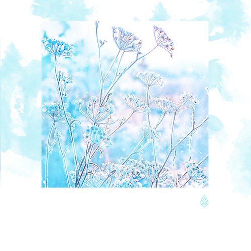 30 Meilleurs sons doux pour votre guérison harmonieuse