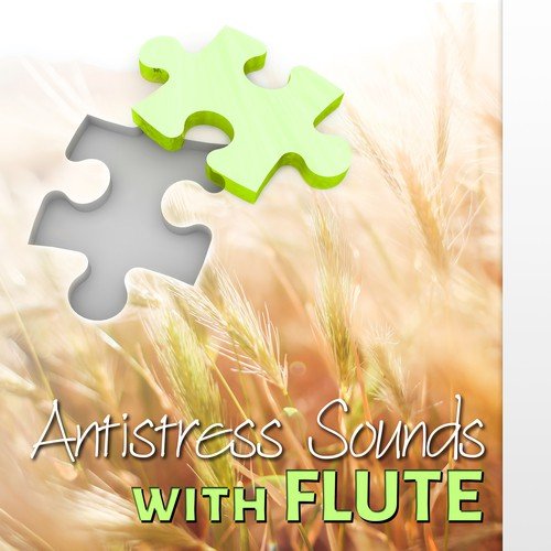 Antistress Sounds with Flute - The Best Study Music for Concentration and Brain Power, Relaxing Music for Studying and Concentrate
