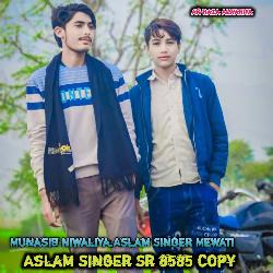 Aslam Singer Sr 8585 Copy-PD5bBDFqRUU