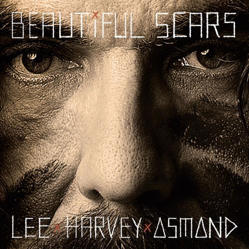 Beautiful Scars_poster_image