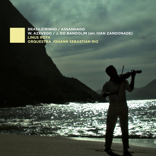 Brasileirinho / Assanhado (Arr. by Ivan Zandonade)