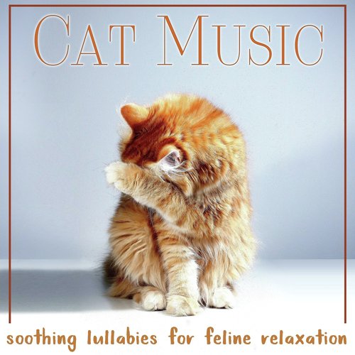 Cat Music: Soothing Lullabies for Feline Relaxation