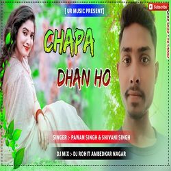 Chapa Dhan Ho Saradiya Na Lagi