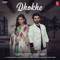 Dhokhe-NANZWENDBGM