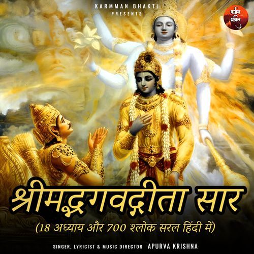 श्रीमद् भगवद् गीता सार