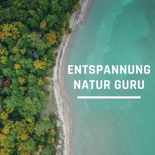 Natur Meditation cover art