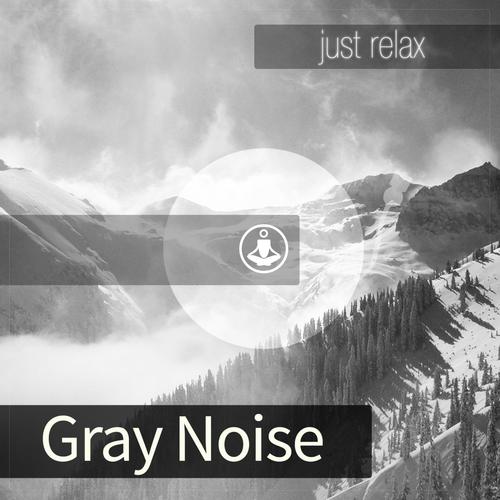 Gray Noise_poster_image