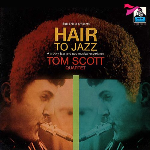 Hair to Jazz_poster_image