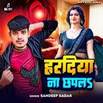 Hardiya Na Chhapla