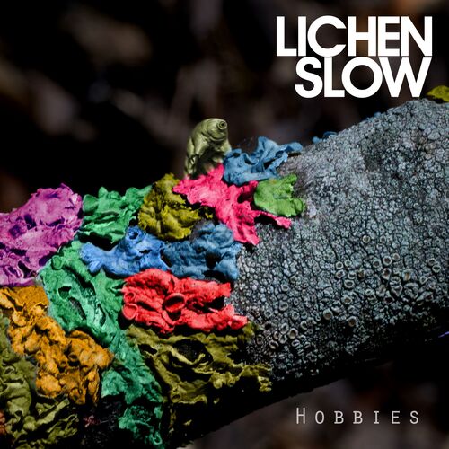 Hobbies cover art