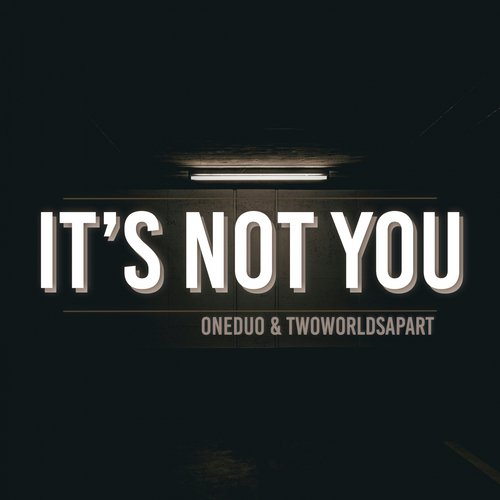 Its Not You_poster_image