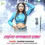 Lahnga Chamkata Ekar