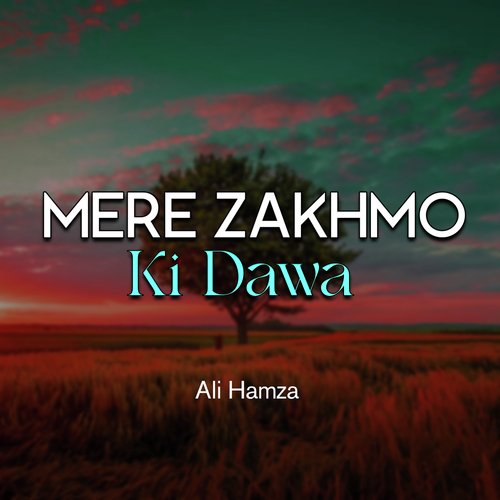 Mere Zakhmo Ki Dawa