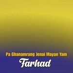 Da Ashiqai Pa Maraz Prot Yam
