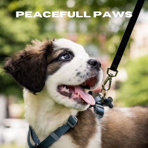 Peaceful Paws_poster_image