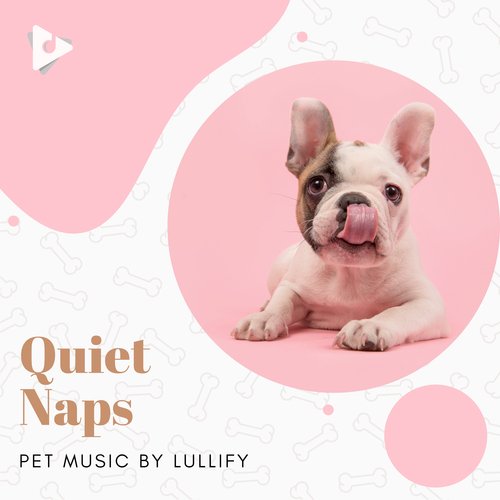 White Paw cover art
