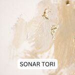 SONAR TORI