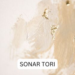 SONAR TORI