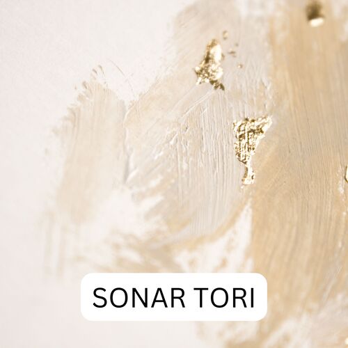 SONAR TORI