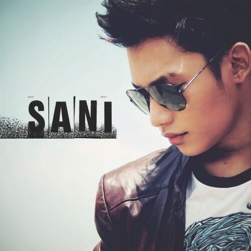 Sani_poster_image