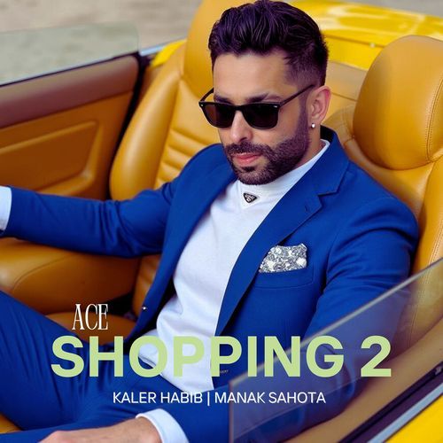 Shopping 2