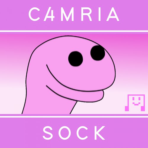 Sock cover art