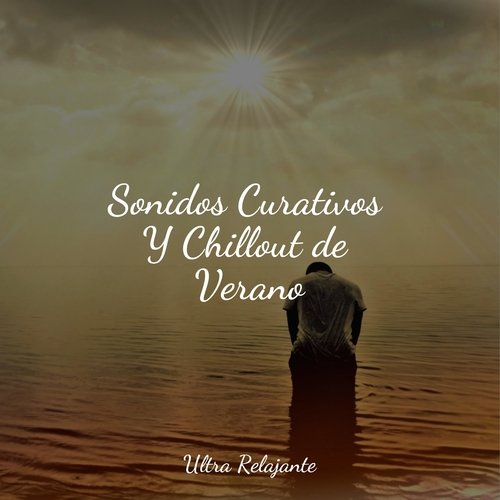 Sonidos Curativos Y Chillout de Verano