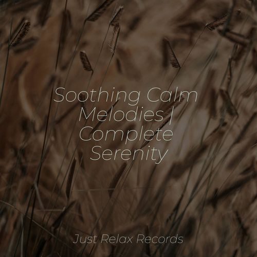 Soothing Calm Melodies | Complete Serenity