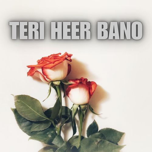 Teri Heer Bano cover art