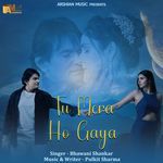 Tu Mera Ho Gaya