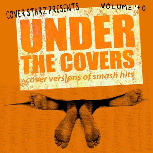 Under the Covers - Cover Versions of Smash Hits, Vol. 40